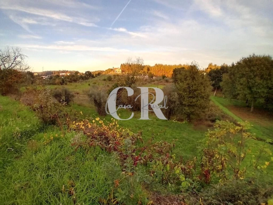 Moradia T3 para Venda em Graça Foto 30