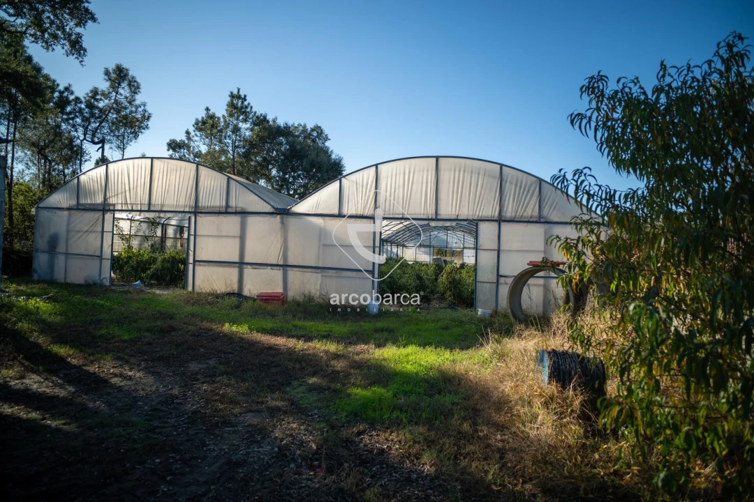 Moradia T3 para Venda em Fontoura Foto 6