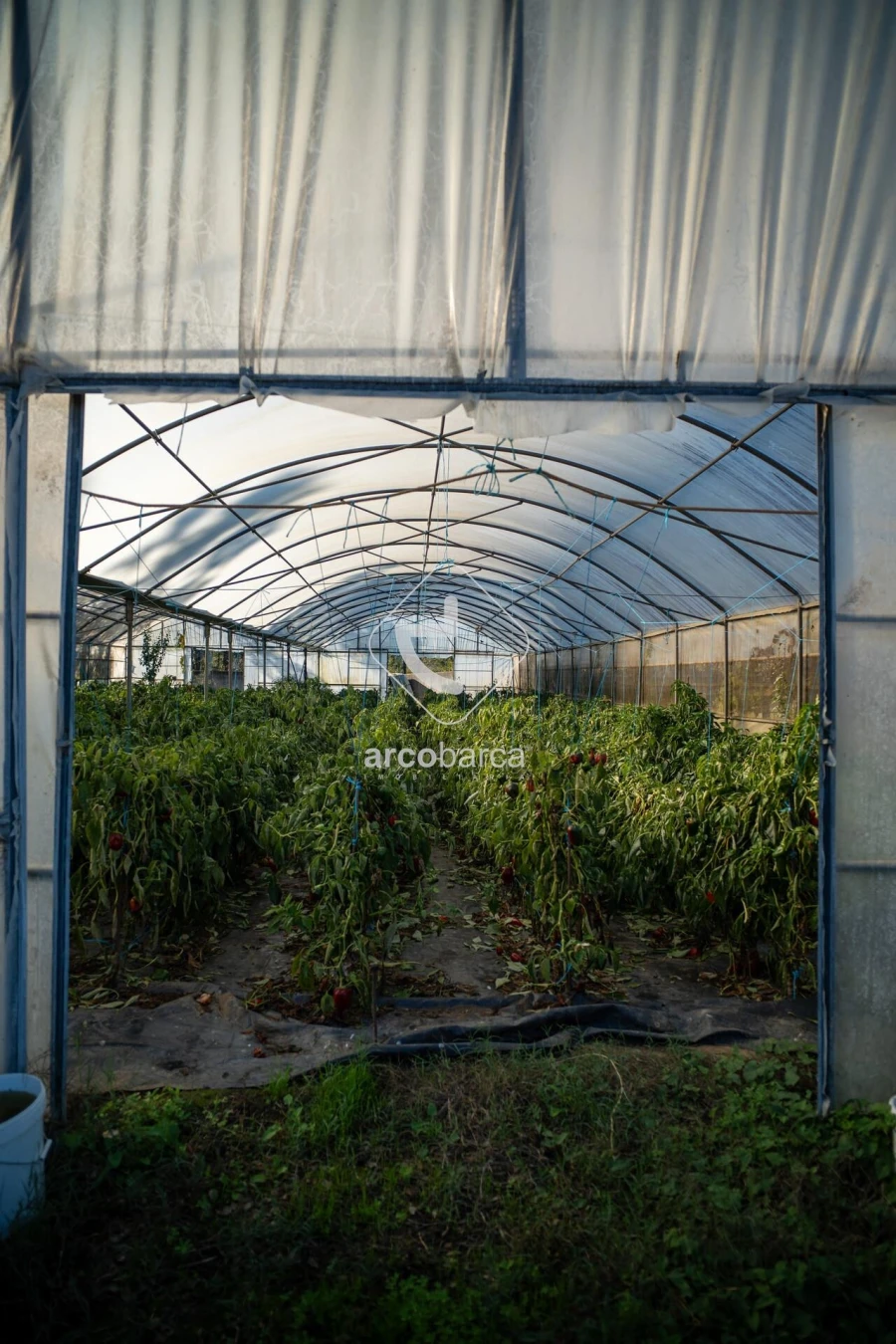 Moradia T3 para Venda em Fontoura Foto 8