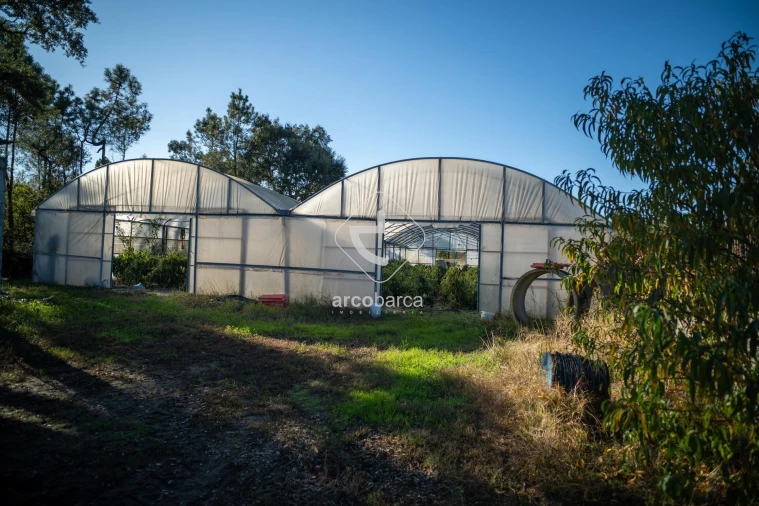 Moradia T3 para Venda em Fontoura Foto 6