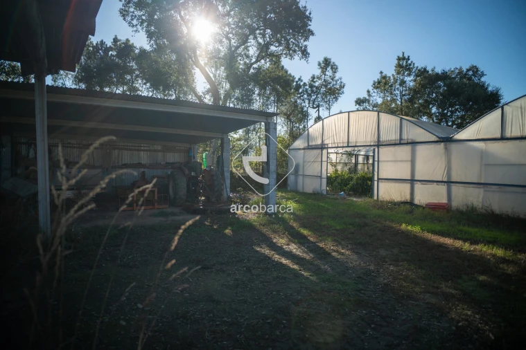 Moradia T3 para Venda em Fontoura Foto 5