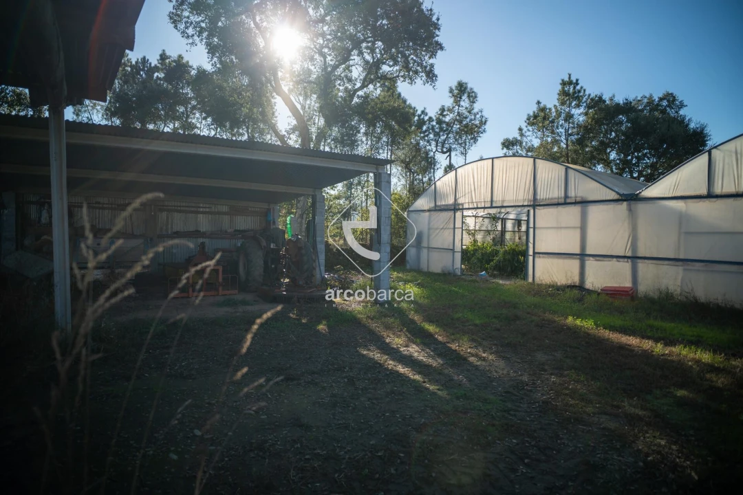 Moradia T3 para Venda em Fontoura Foto 5