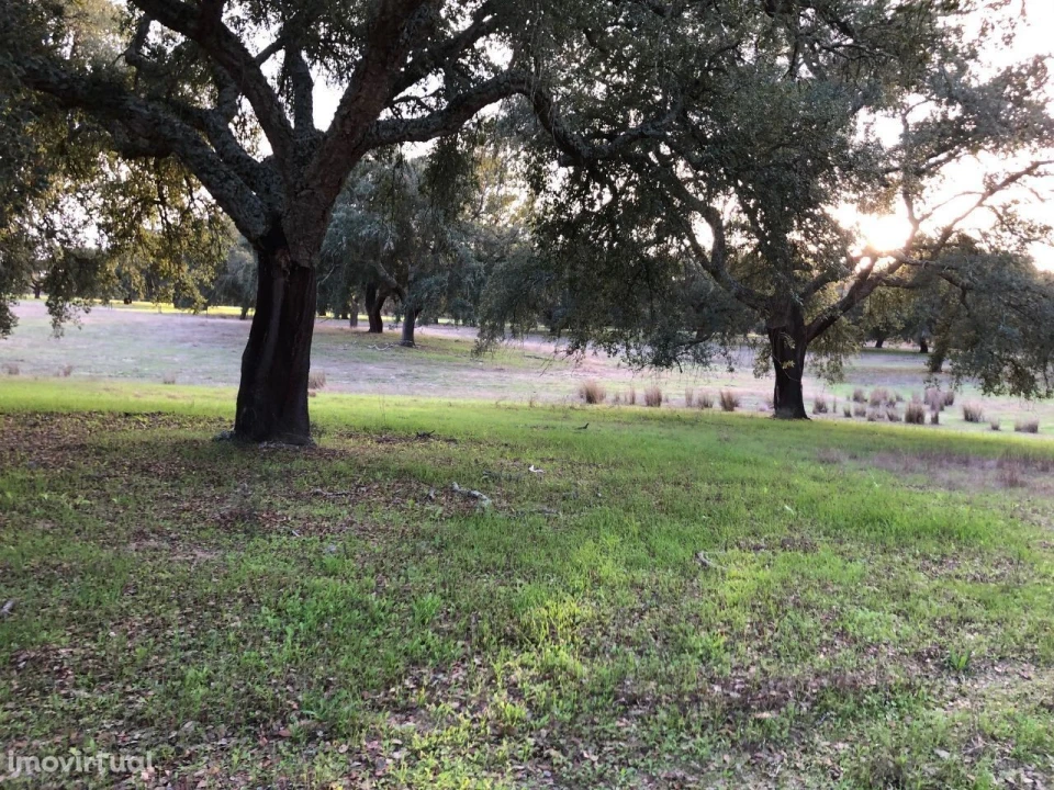 Terreno para Venda em Figueira dos Cavaleiros Foto 2