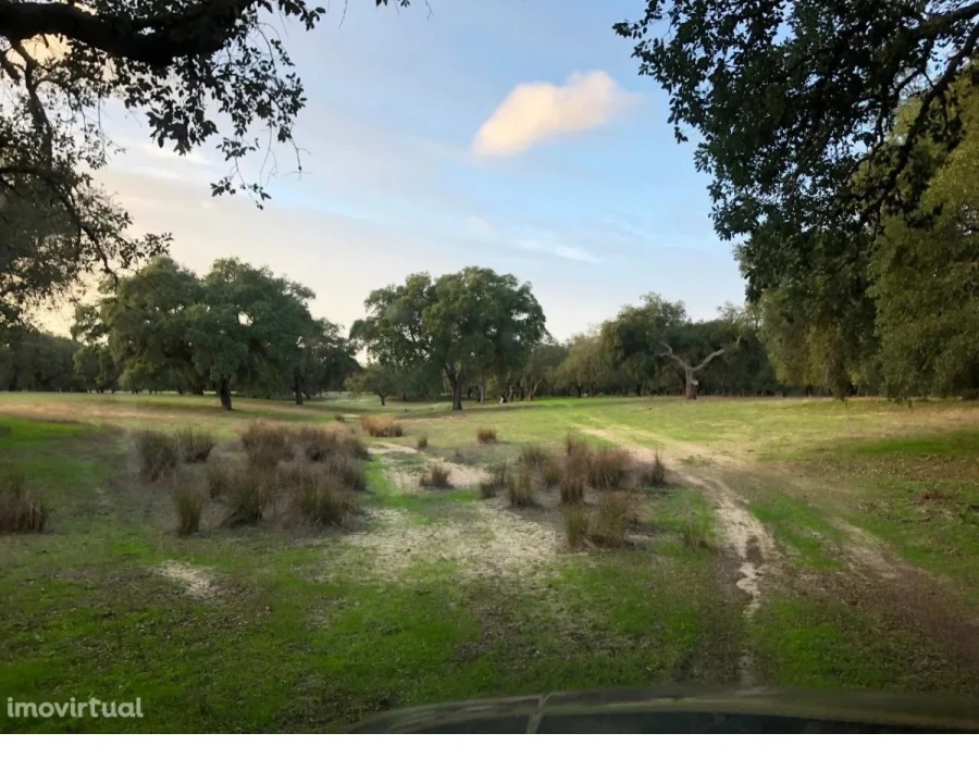 Terreno para Venda em Figueira dos Cavaleiros Foto 4