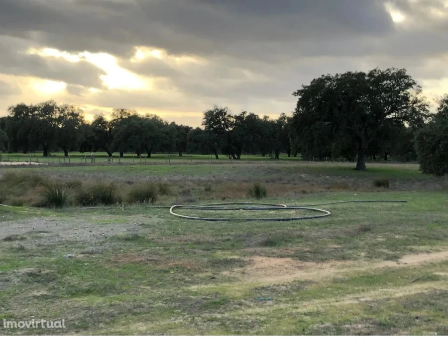 Terreno para Venda em Figueira dos Cavaleiros Foto 7
