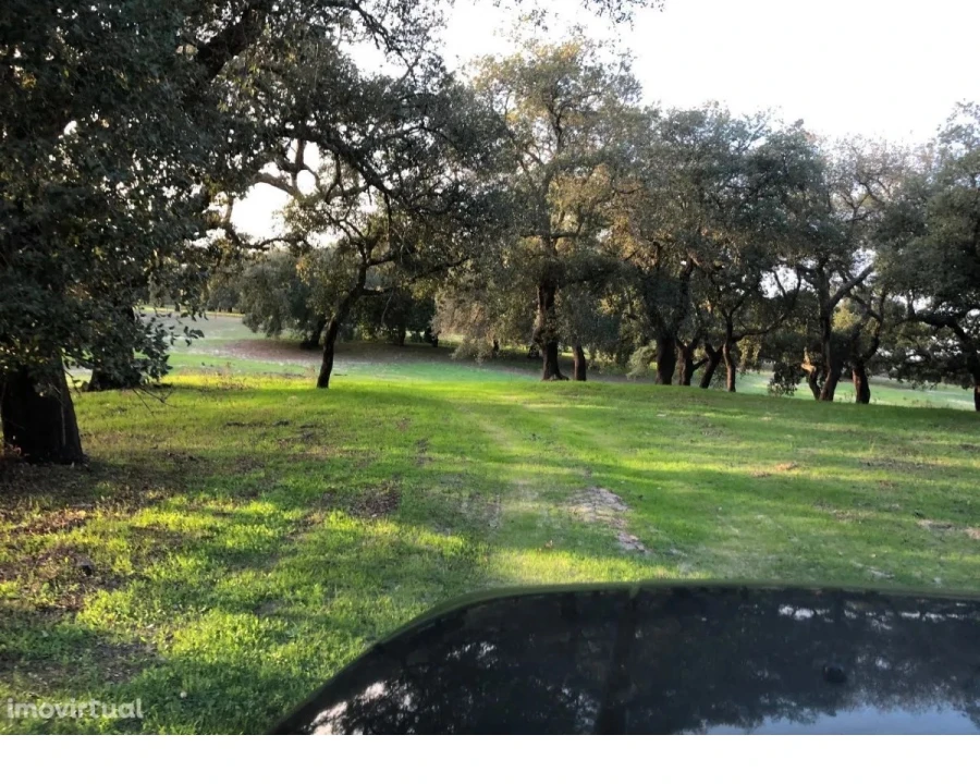 Terreno para Venda em Figueira dos Cavaleiros Foto 9
