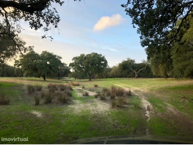 Terreno para Venda em Figueira dos Cavaleiros Foto 4