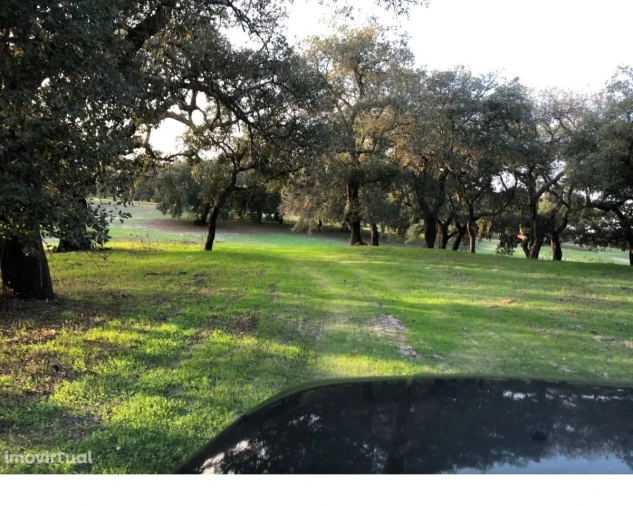 Terreno para Venda em Figueira dos Cavaleiros Foto 9