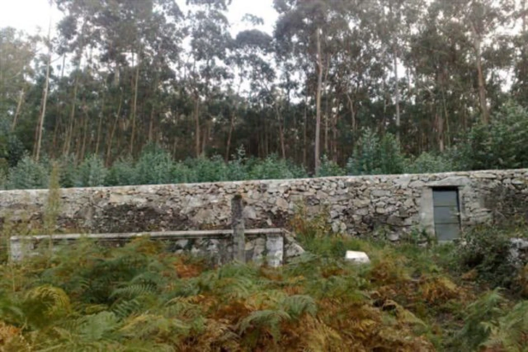 Quinta para Venda em Afife Foto 9