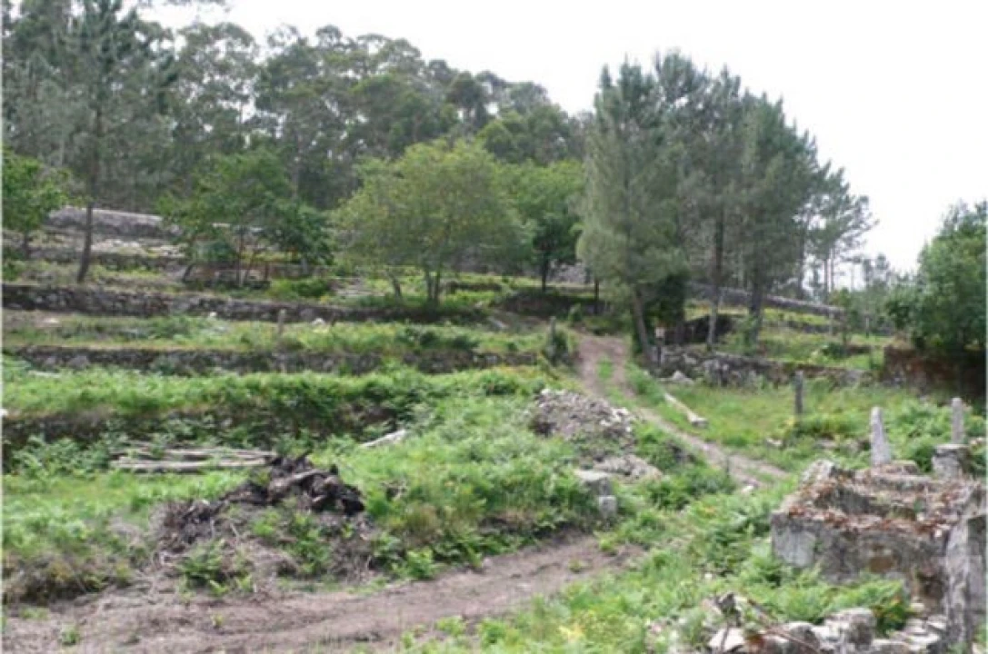 Quinta para Venda em Afife Foto 18