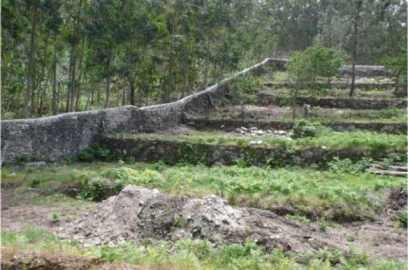 Quinta para Venda em Afife