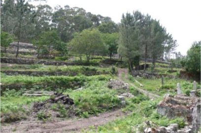 Quinta para Venda em Afife