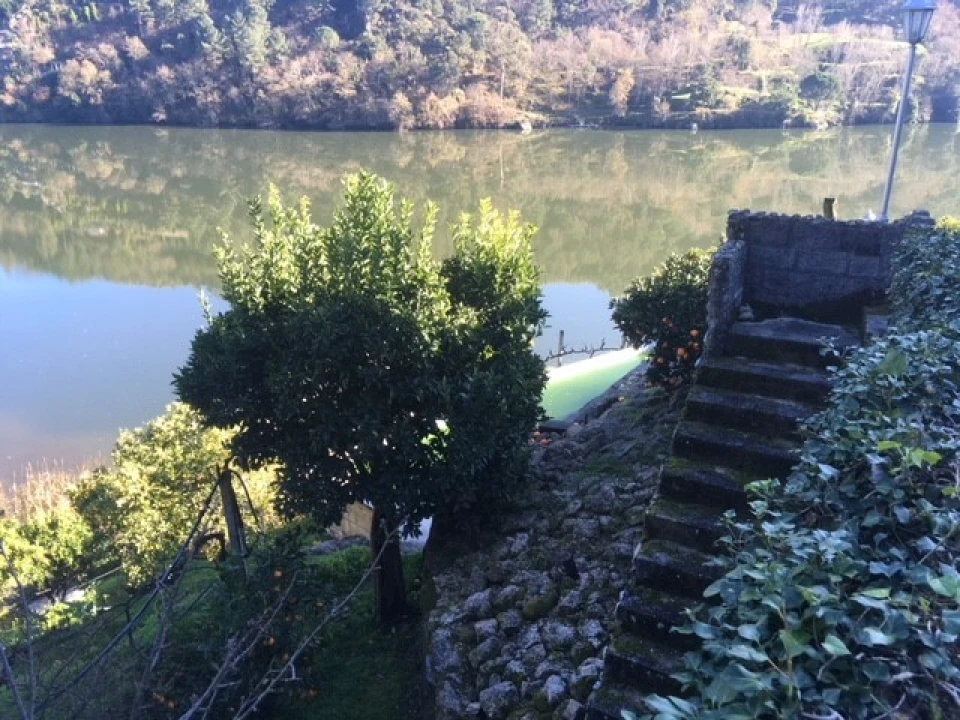 Quinta T6 para Venda em Penhalonga e Paços de Gaiolo Foto 10