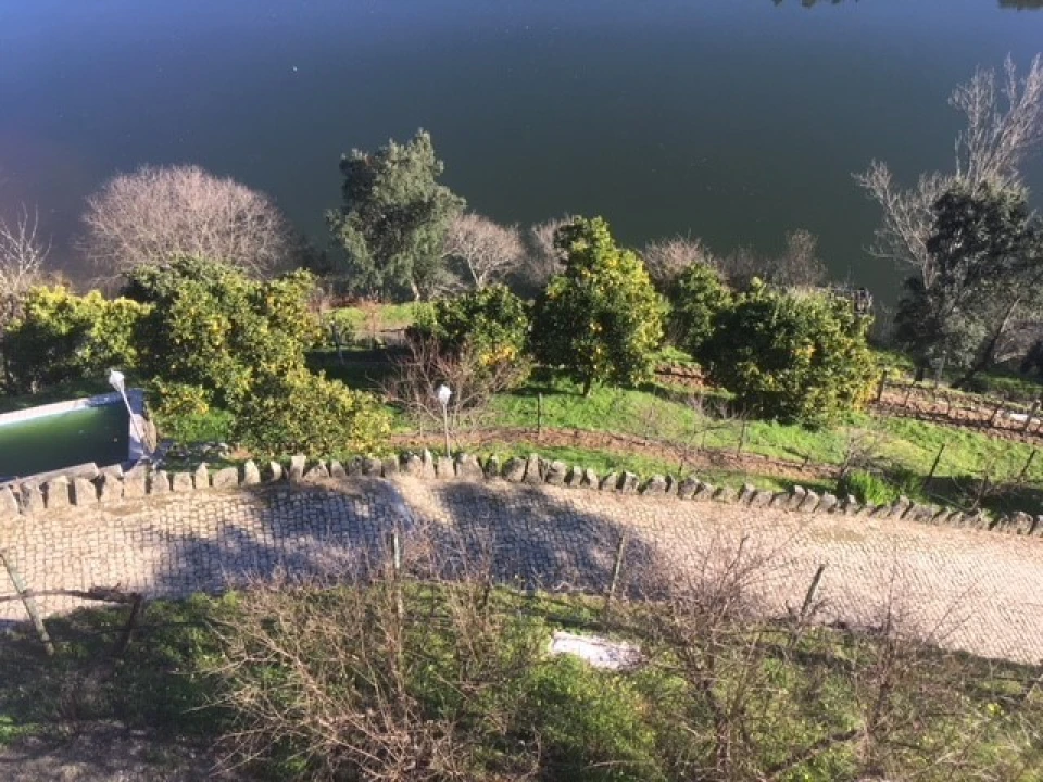 Quinta T6 para Venda em Penhalonga e Paços de Gaiolo Foto 13