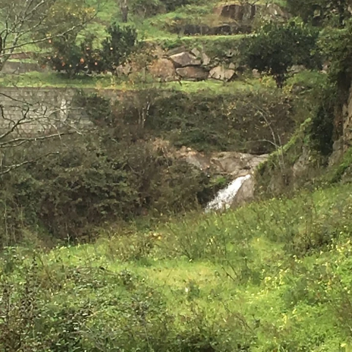 Quinta T6 para Venda em Penhalonga e Paços de Gaiolo Foto 19