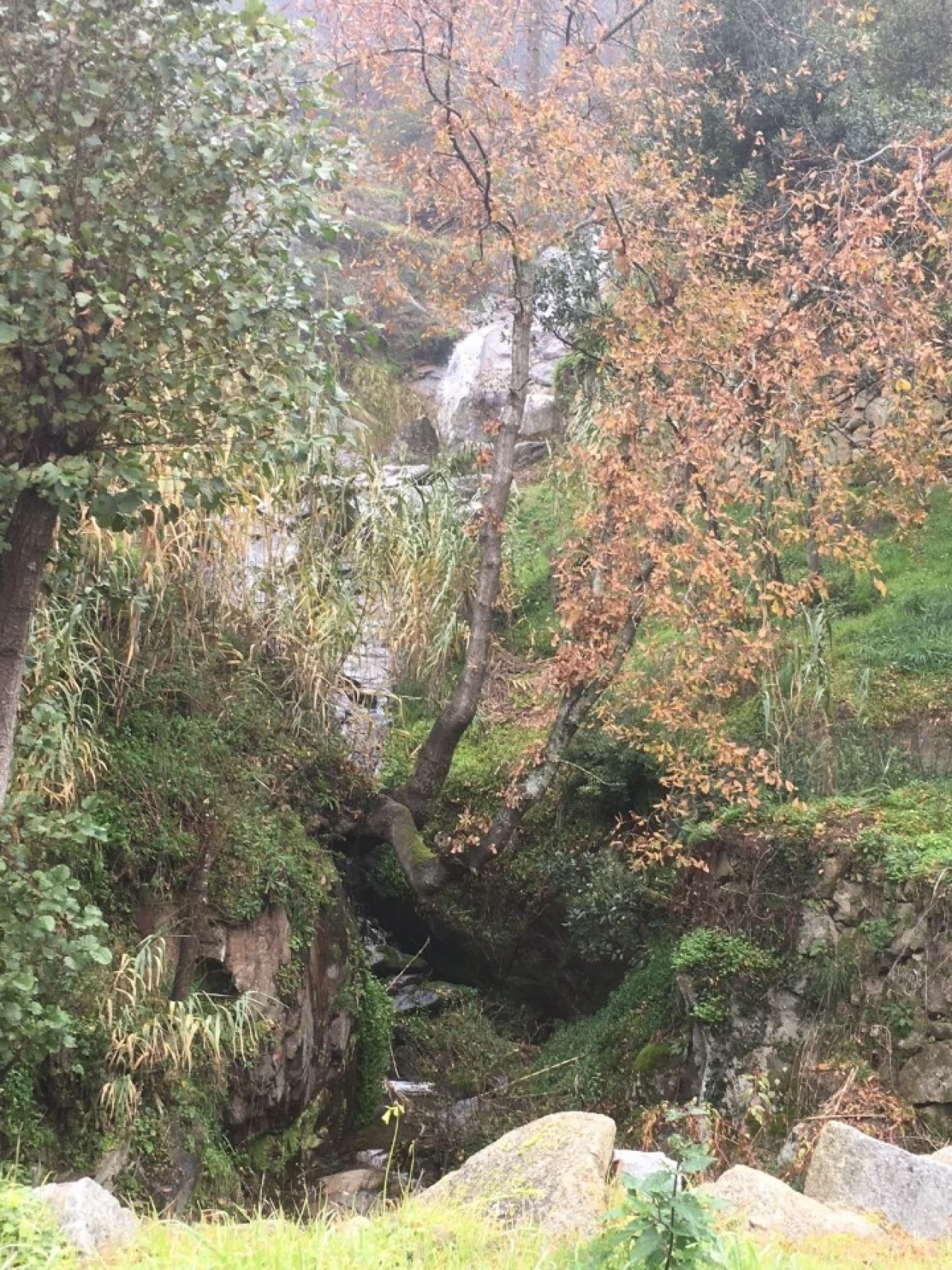 Quinta T6 para Venda em Penhalonga e Paços de Gaiolo Foto 20