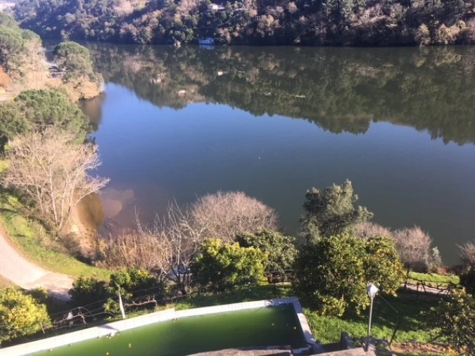 Quinta T6 para Venda em Penhalonga e Paços de Gaiolo Foto 9