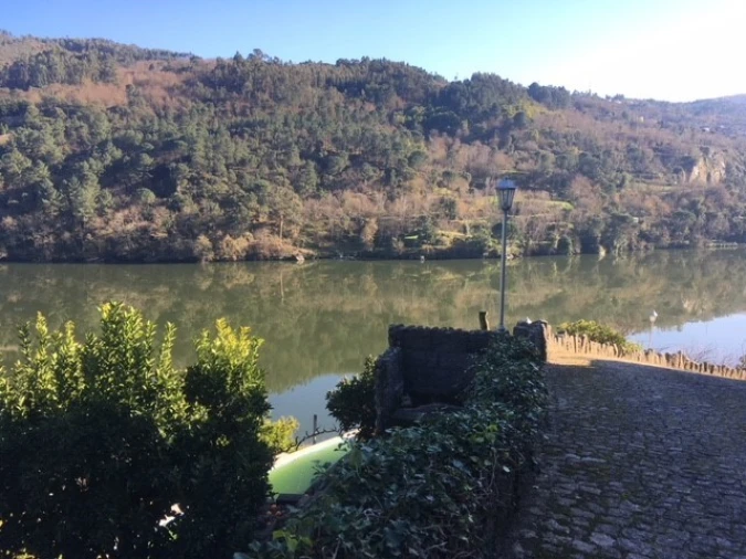 Quinta T6 para Venda em Penhalonga e Paços de Gaiolo Foto 1