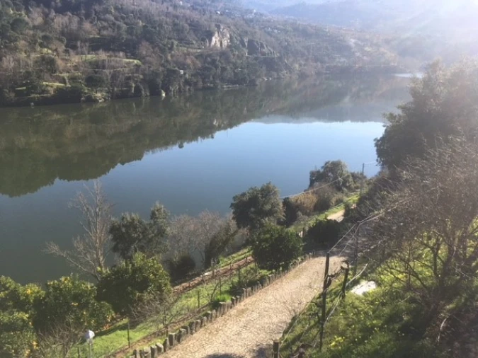 Quinta T6 para Venda em Penhalonga e Paços de Gaiolo Foto 11
