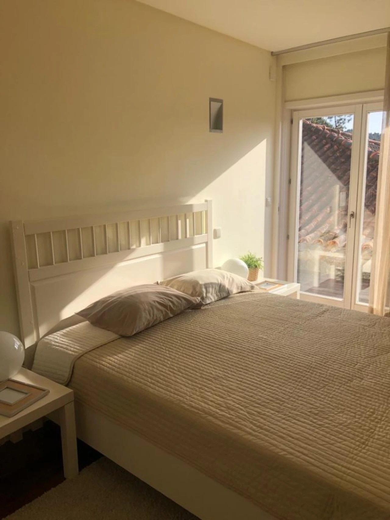 Quinta T4 para Venda em Ardegão, Freixo e Mato Foto 7