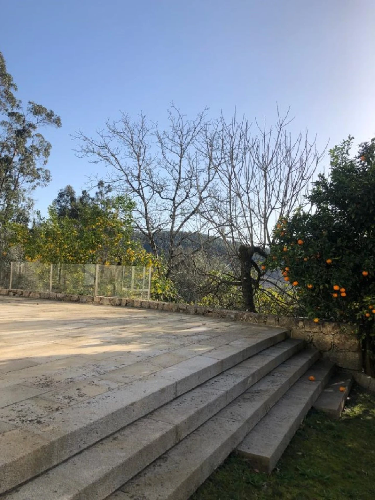 Quinta T4 para Venda em Ardegão, Freixo e Mato Foto 22