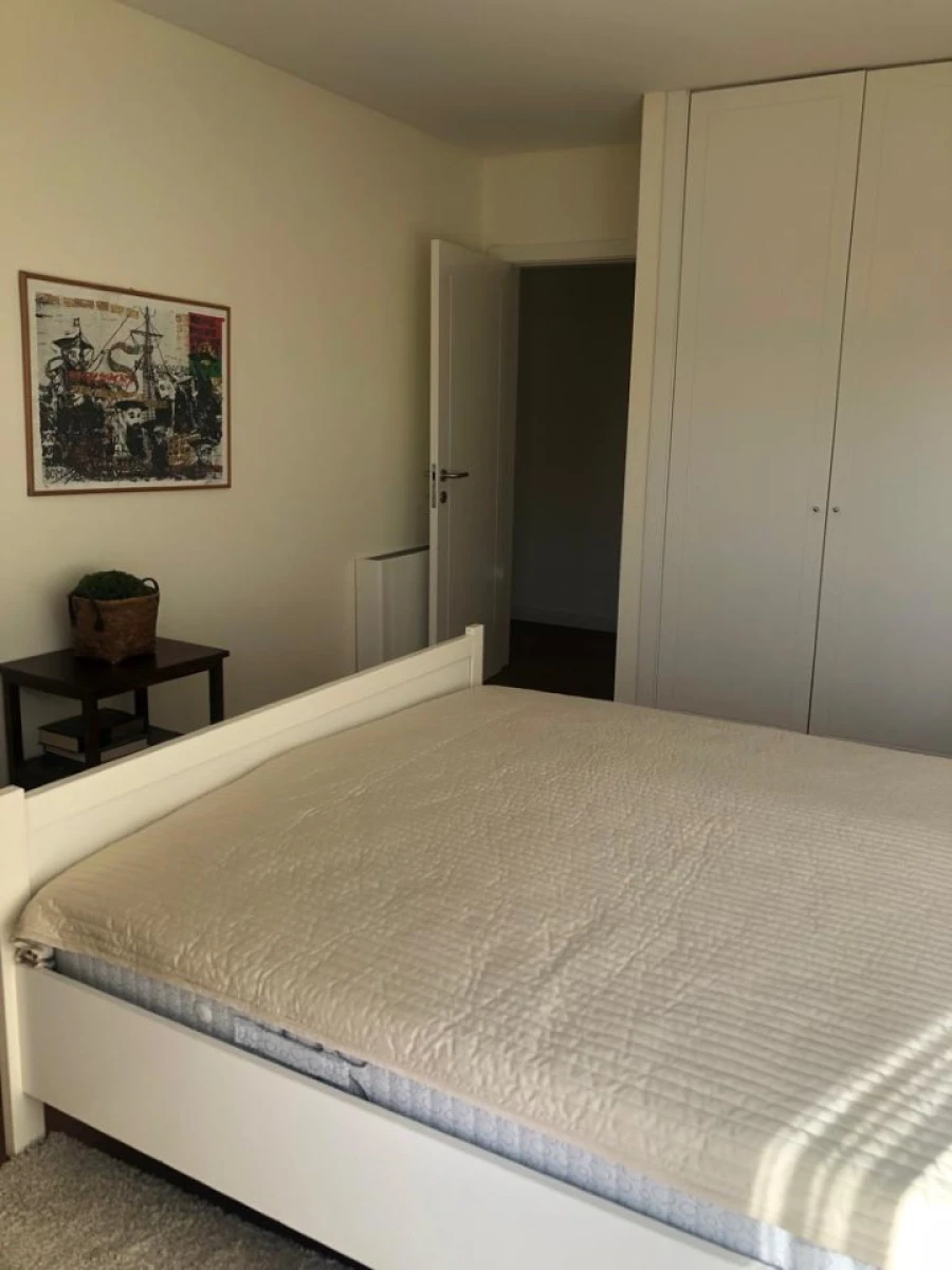 Quinta T4 para Venda em Ardegão, Freixo e Mato Foto 8