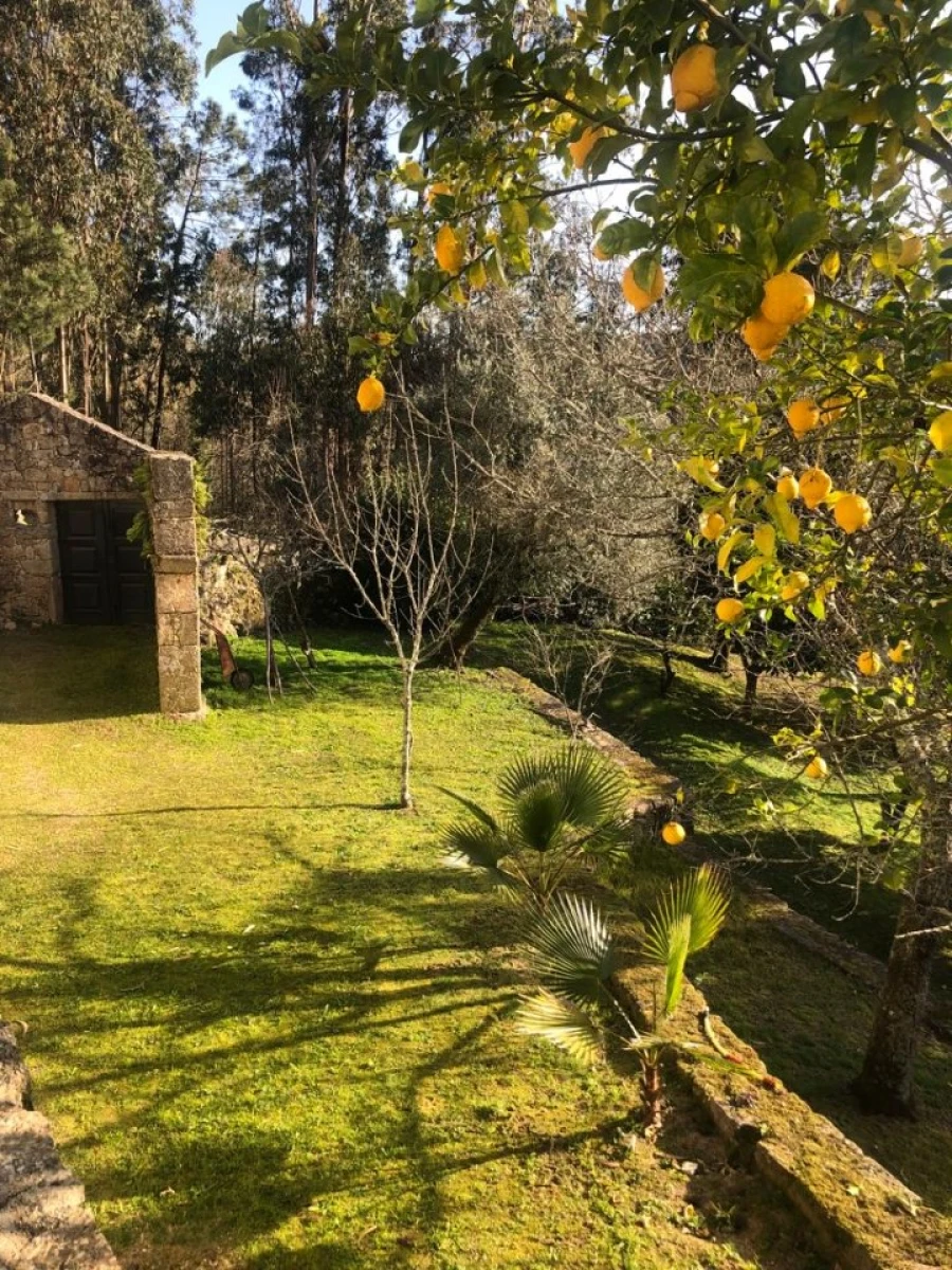 Quinta T4 para Venda em Ardegão, Freixo e Mato Foto 18