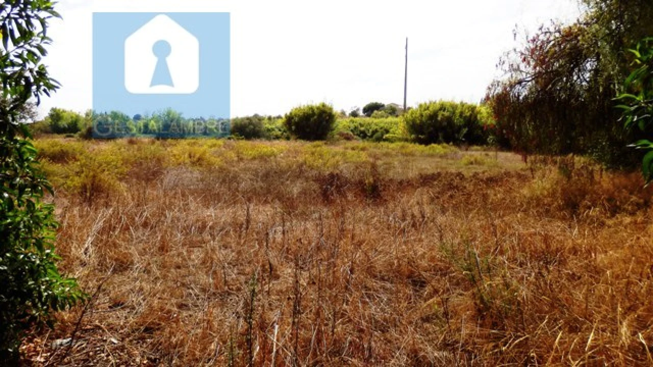Terreno Agricola ou Rústico para Venda em Alcantarilha e Pêra Foto 6