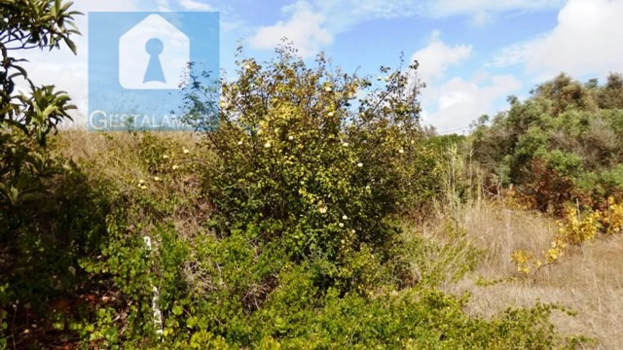 Terreno Agricola ou Rústico para Venda em Alcantarilha e Pêra Foto 1