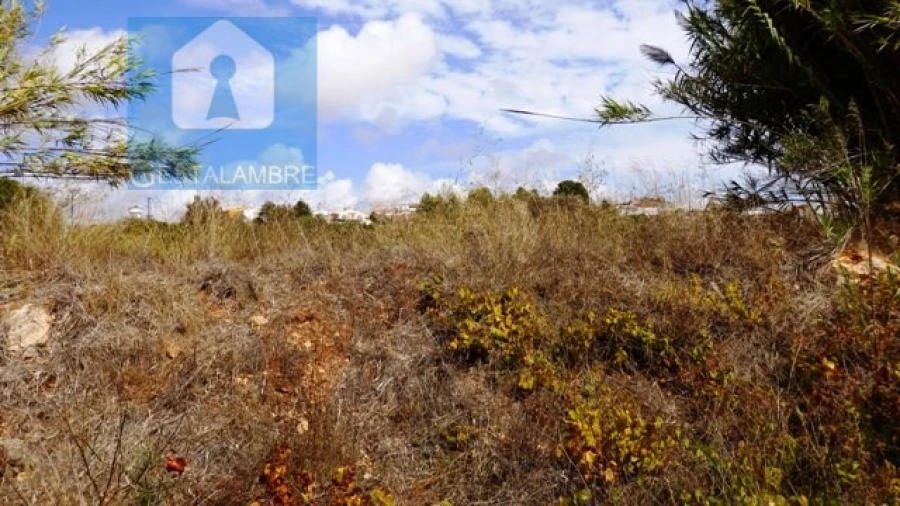 Terreno Agricola ou Rústico para Venda em Alcantarilha e Pêra Foto 4