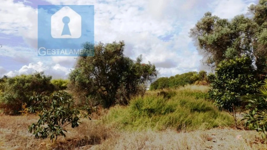 Terreno Agricola ou Rústico para Venda em Alcantarilha e Pêra Foto 5