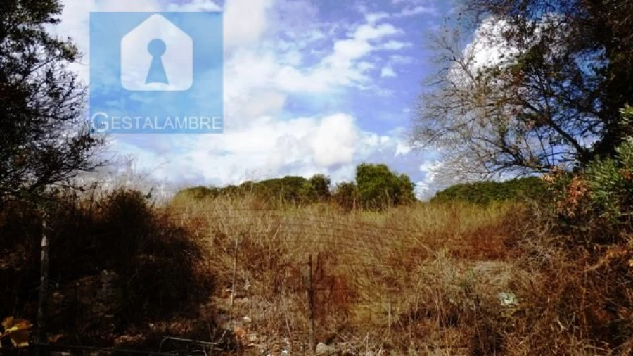 Terreno Agricola ou Rústico para Venda em Alcantarilha e Pêra Foto 3