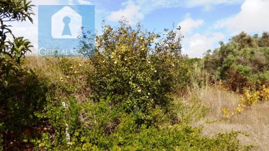 Terreno Agricola ou Rústico para Venda em Alcantarilha e Pêra