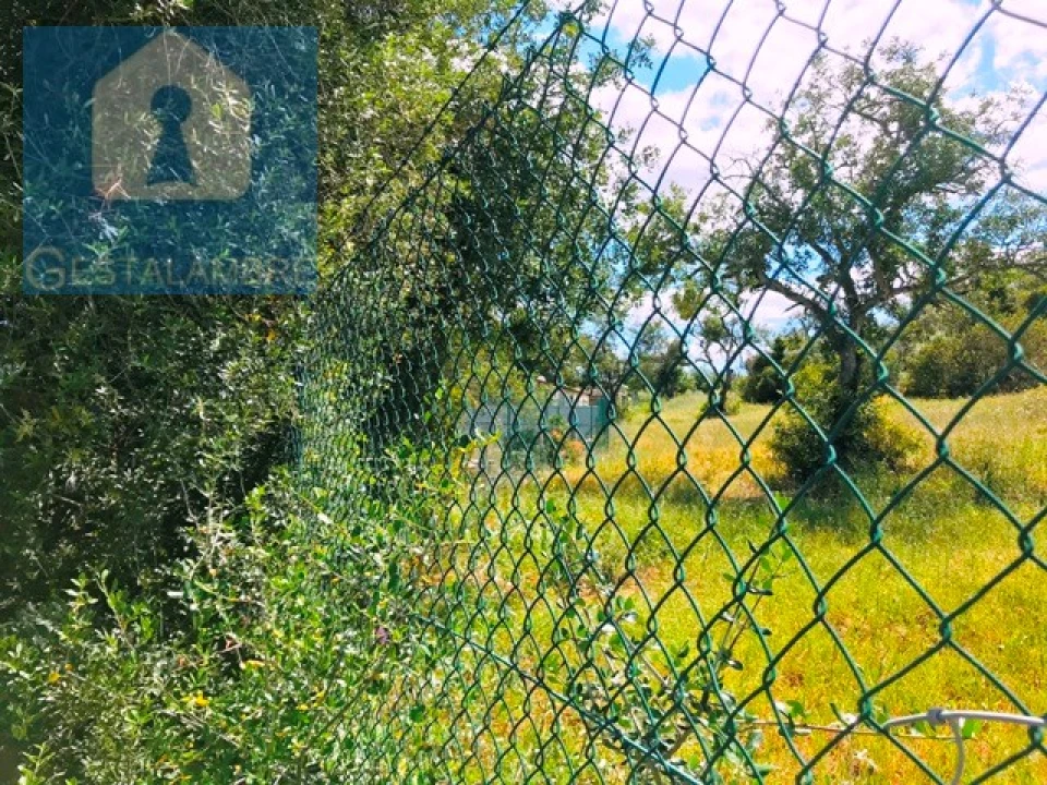 Terreno Agricola ou Rústico para Venda em Guia Foto 9