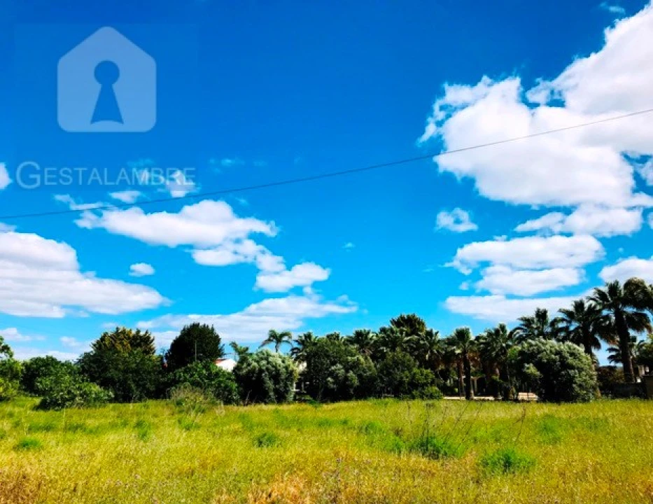 Terreno Agricola ou Rústico para Venda em Guia Foto 16