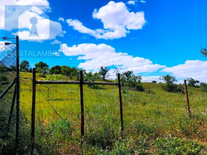 Terreno Agricola ou Rústico para Venda em Guia Foto 2
