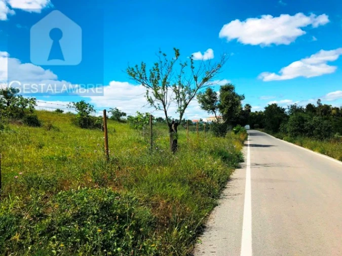 Terreno Agricola ou Rústico para Venda em Guia Foto 1
