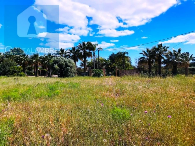 Terreno Agricola ou Rústico para Venda em Guia Foto 20