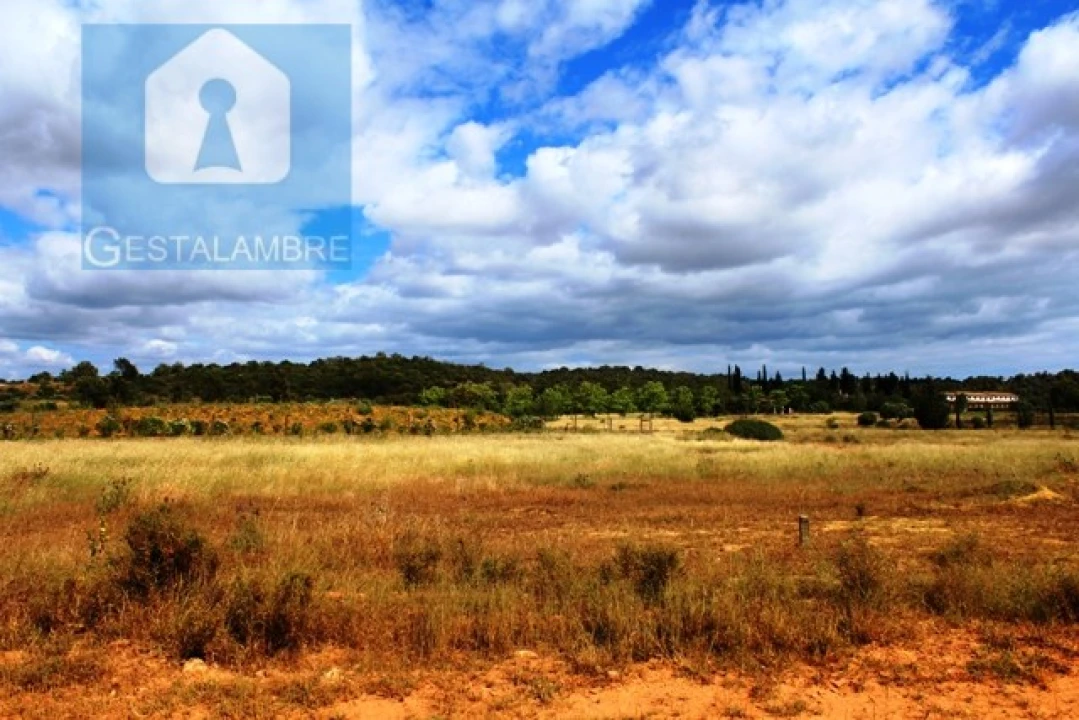 Terreno Agricola ou Rústico para Venda em Algoz e Tunes Foto 3