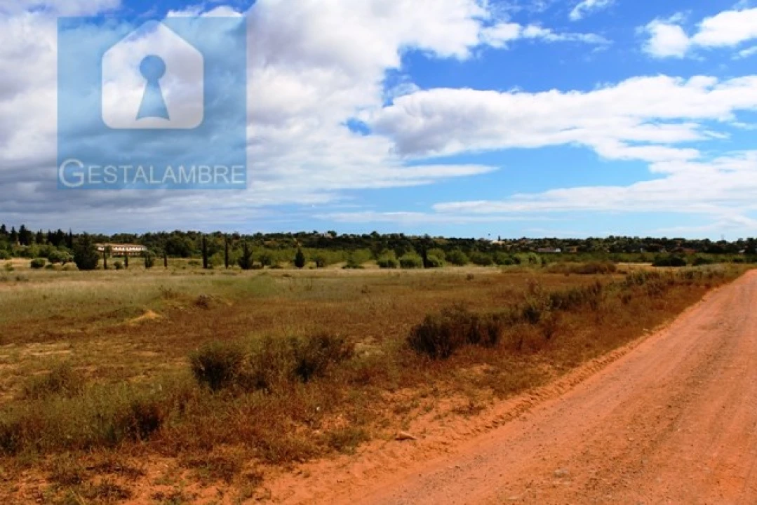 Terreno Agricola ou Rústico para Venda em Algoz e Tunes Foto 2