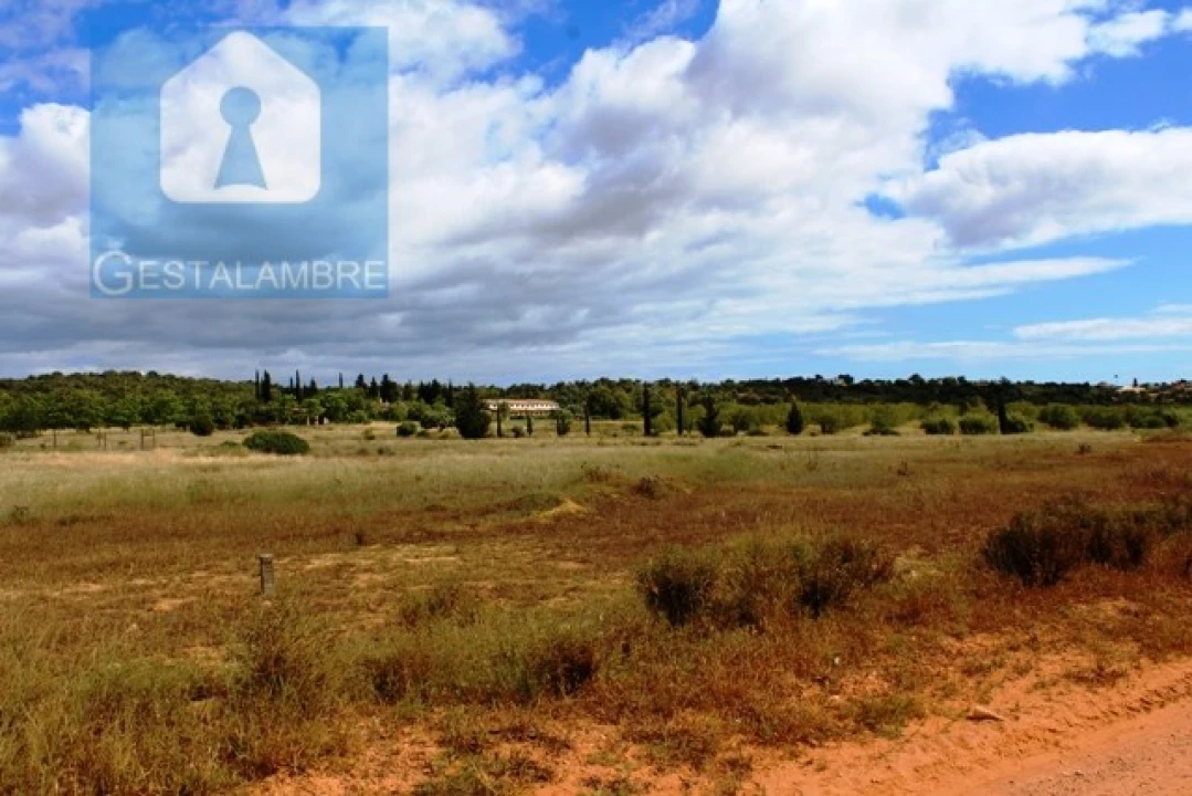 Terreno Agricola ou Rústico para Venda em Algoz e Tunes Foto 1