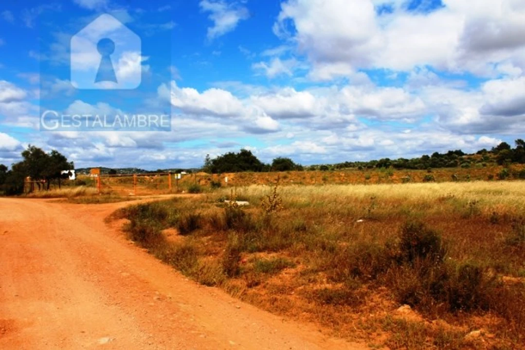 Terreno Agricola ou Rústico para Venda em Algoz e Tunes Foto 5