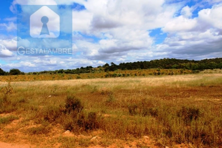 Terreno Agricola ou Rústico para Venda em Algoz e Tunes Foto 4