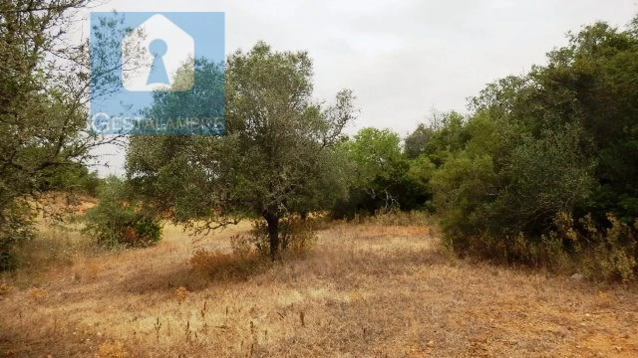Terreno Agricola ou Rústico para Venda em Alcantarilha e Pêra Foto 2