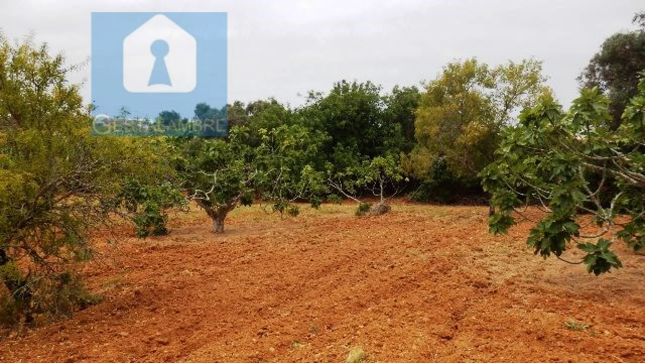 Terreno Agricola ou Rústico para Venda em Alcantarilha e Pêra Foto 1