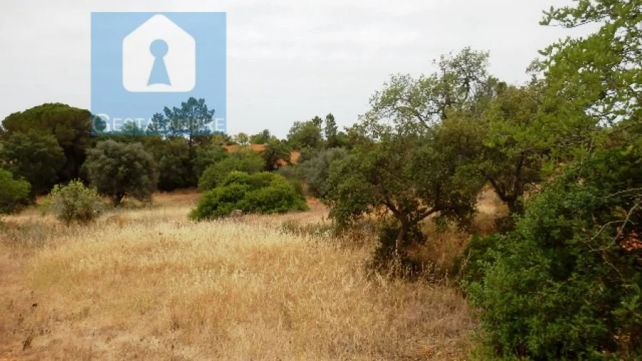 Terreno Agricola ou Rústico para Venda em Alcantarilha e Pêra Foto 4