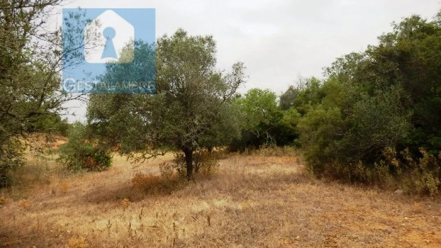 Terreno Agricola ou Rústico para Venda em Alcantarilha e Pêra Foto 2