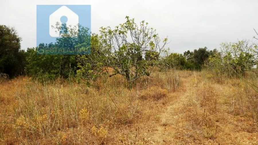 Terreno Agricola ou Rústico para Venda em Alcantarilha e Pêra Foto 6