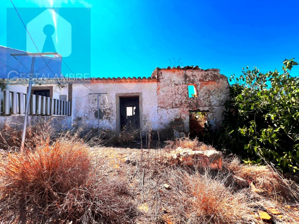 Terreno Misto para Venda em Guia Foto 1