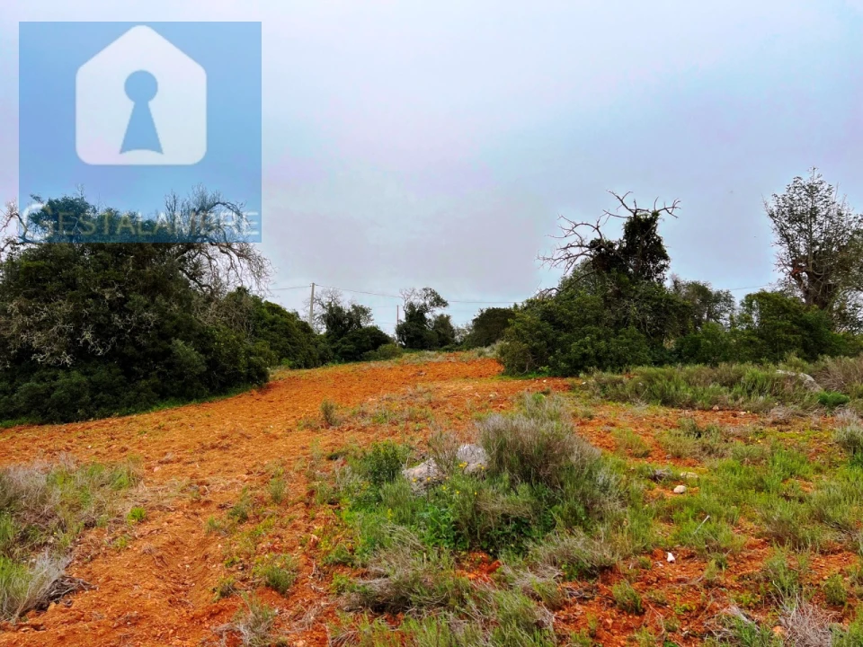 Terreno Misto para Venda em Guia Foto 2